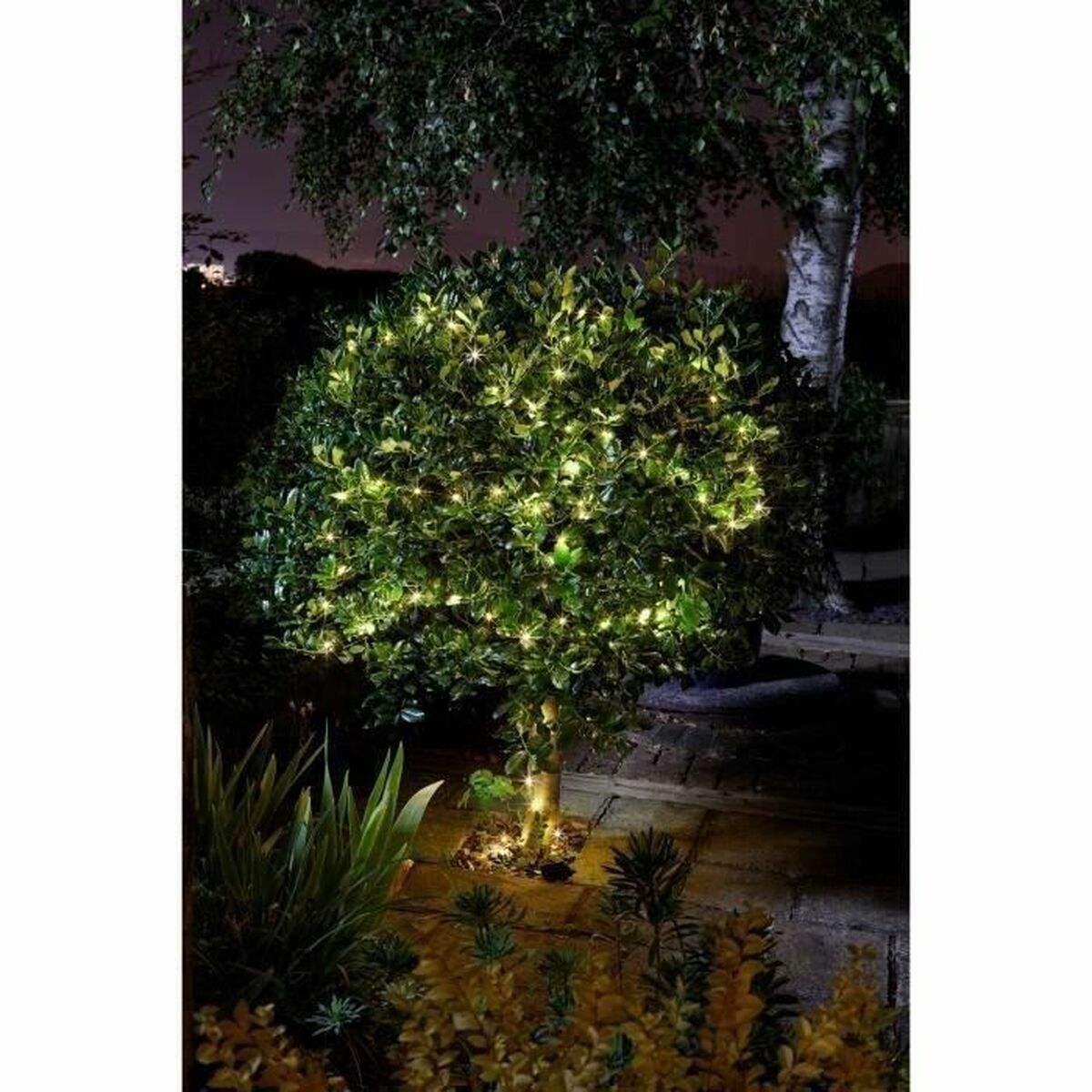 Krans av LED-lys Super Smart Luciole Solar Varm Hvit